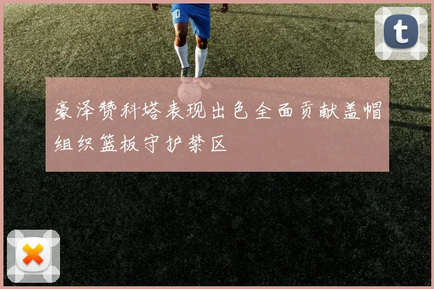 豪泽赞科塔表现出色全面贡献盖帽组织篮板守护禁区